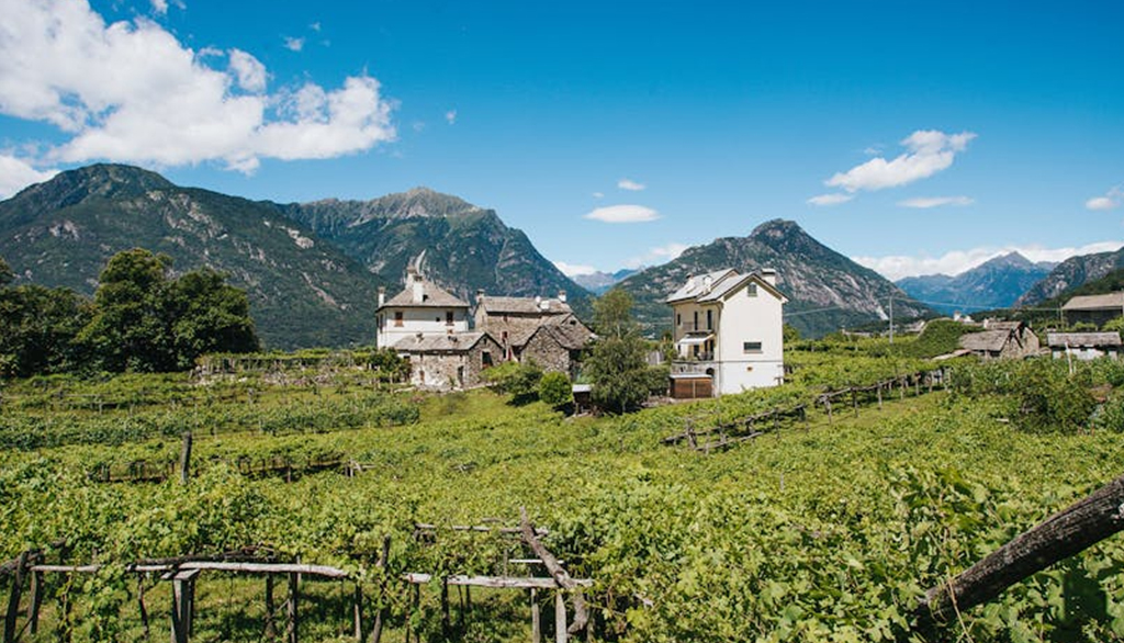 Garrone, vini dell’Alto Piemonte da una cantina immersa in memorie secolari
