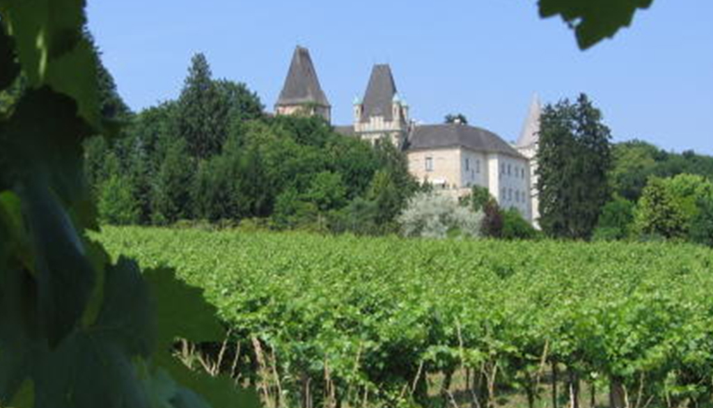 Schloss Maissau, tutte le declinazioni dei vini dal vitigno Grüner Veltliner nel suo regno viennese