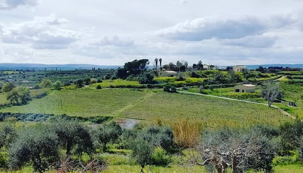 I vini siciliani dalla Val d’Anapo della cantina Fausta Mansio, vate del Moscato di Siracusa