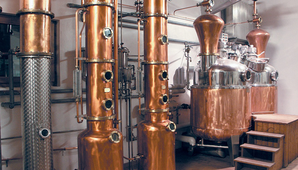 Il Bondon Gin della Distilleria Francesco, eclettismo botanico dal Trentino